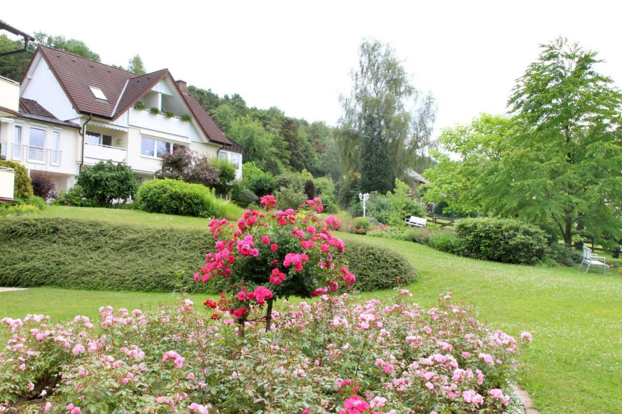 Haus Am Steinberg Lägenhet Bad Driburg Exteriör bild