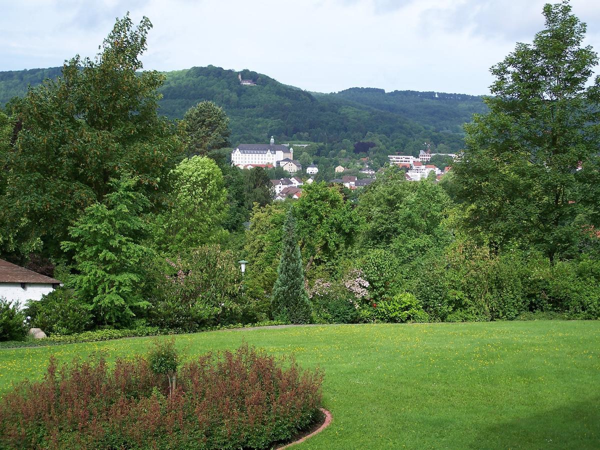 Haus Am Steinberg Lägenhet Bad Driburg Exteriör bild