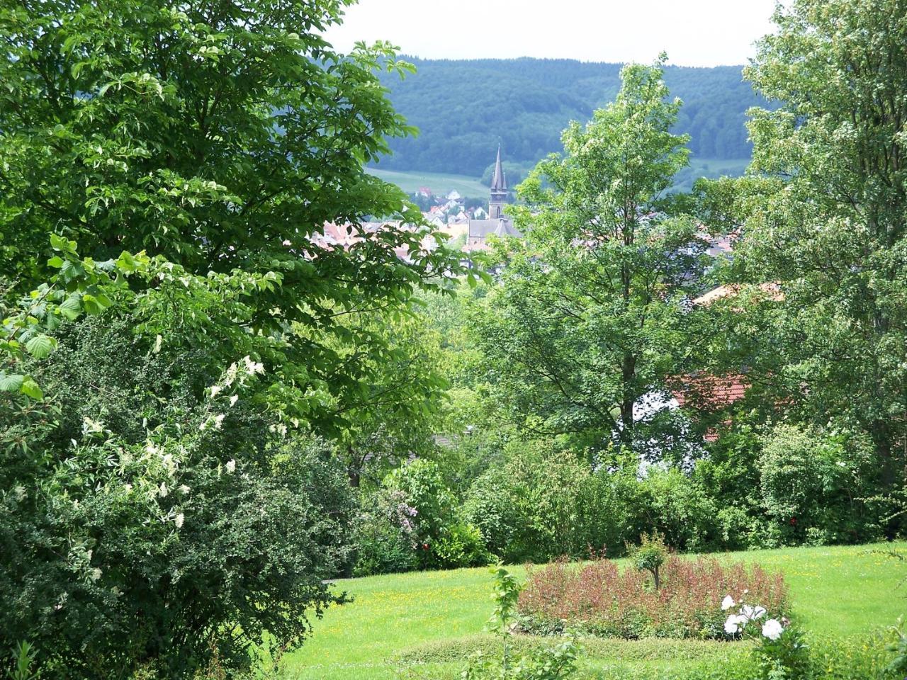 Haus Am Steinberg Lägenhet Bad Driburg Exteriör bild